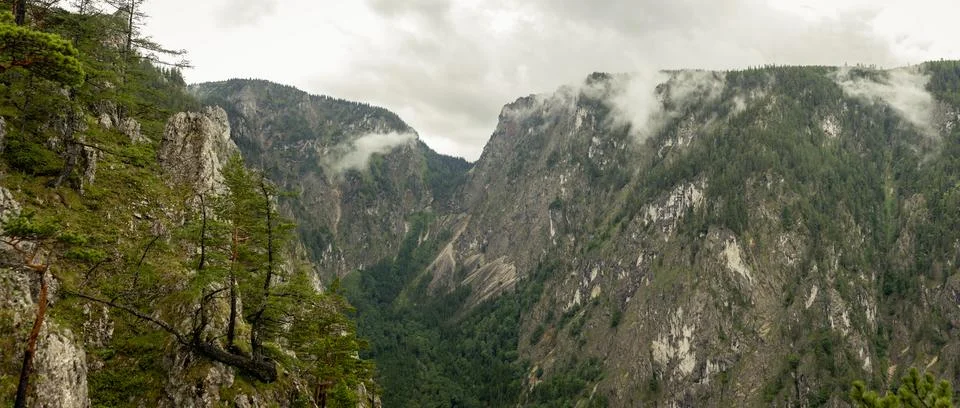 Dramatic Rocky Mountain Valley Covered Forest and Low Clouds Across Rugged .. Stock-Fotos