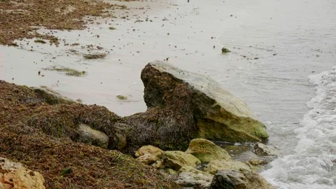 Dramatic Rocky Seashore with Waves Under Bright Sunlight Stock Footage 345007207