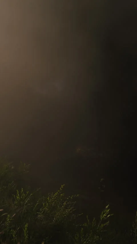 Dramatic scene of a big fire engulfing the landscape, with smoke billowing into Stock Footage 313925842