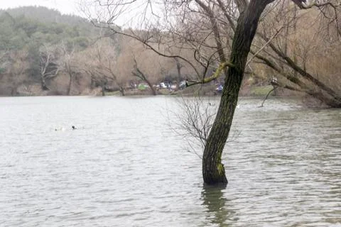 A Dramatic Scene from a Lake Stock Photos