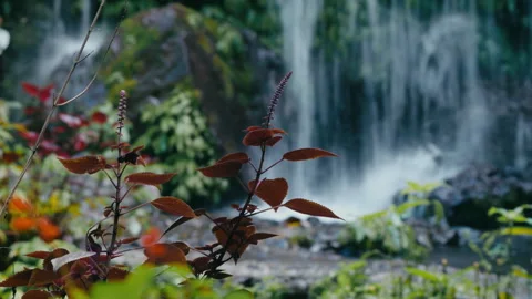 Dramatic Scene Of Misty Waterfall Surrounded By Green Foliage Stock Footage 334877545