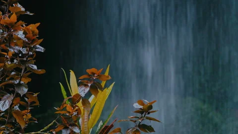 Dramatic Scene Of Misty Waterfall Surrounded By Green Foliage Vidéo 334877910