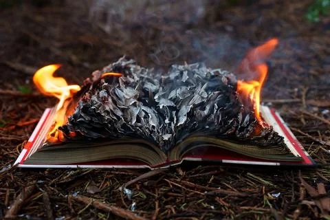 Dramatic Scene of an Open Book Burning and Turning to Ash in the Woods Stock Photos