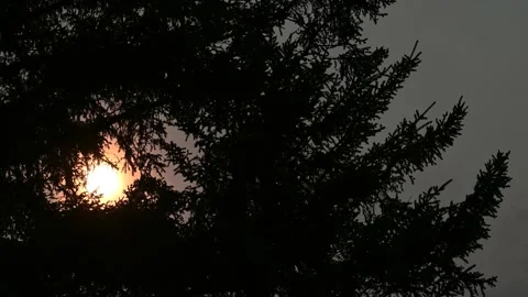 Dramatic scene with an orange sun colored by wildfire smoke Stock Footage 139691561