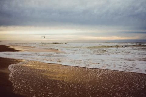 Dramatic seascape over the Pacific ocean, cloudy sky in the background, cop.. Stock Photos