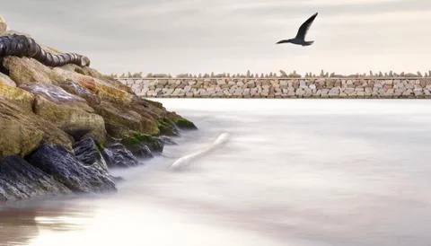 Dramatic seascape in the port Stock Photos