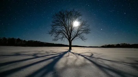 Dramatic Shadows from a Lone Tree Under a Full Moon in Winter. Stock Footage 315379485