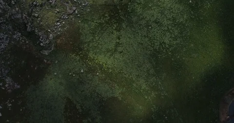 Dramatic shadows on a Lush green field - Fresno, CA 库存影片 118678783