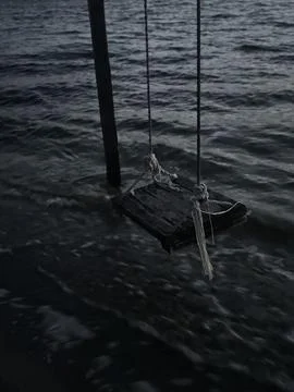 Dramatic Shoreline Scene with Old Swing Stock Photos