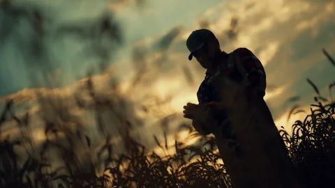 Dramatic shot in fields, farmer works in farmland, growing rye, wheat or barley. Stock Footage 345509006