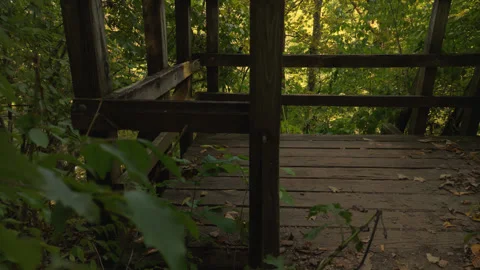 Dramatic Shot of a Forest Overlook Stock Footage 251453517