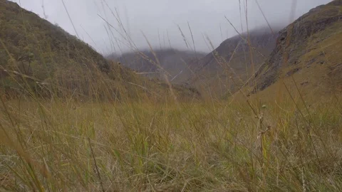 Dramatic shot of Glen Nevis through a field of autumn grass Stock Footage 99936204