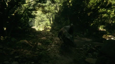 Dramatic shot of Stan the T-Rex in the forest Stock Footage 295479121