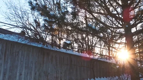 Dramatic shot of the sun's rays cutting through trees during the Golden Stock Footage 102317840