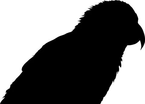 Dramatic silhouette of a bird its powerful beak sharply defined Ilustración de archivo