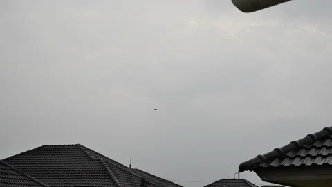 Dramatic sky after rain, slow motion bird flying Stock Footage 93881440