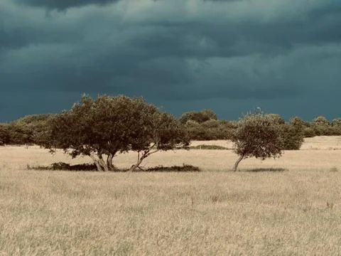 Dramatic Sky and British Field &amp; Meadow Landscape Stock Photos