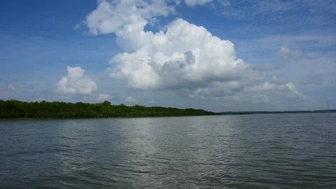 Dramatic Sky and Clouds Over Vast Tidal River and Mangrove Line Stock Footage 318412237