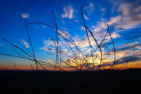 Dramatic sky and sunset. cumulus clouds Stock Photos