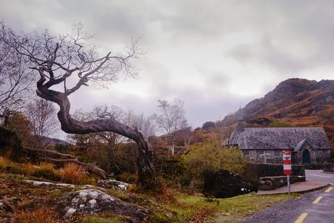 Dramatic sky and wild nature in Autumn Stock Photos