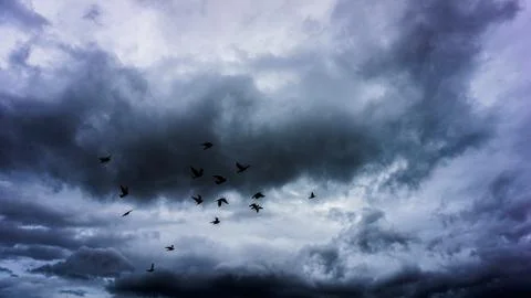 A Dramatic Sky Appears with Birds Gracefully in Flight Beneath Ominous Stor.. 스톡 사진