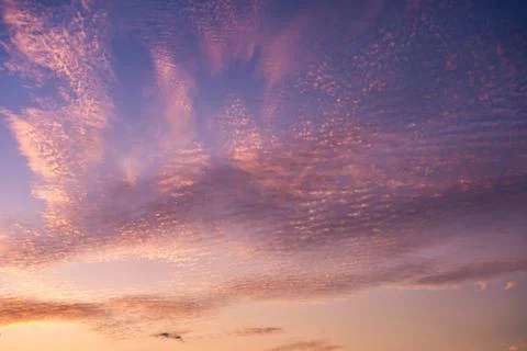 Dramatic sky with cirrocumulus clouds in the sunset Stock Photos