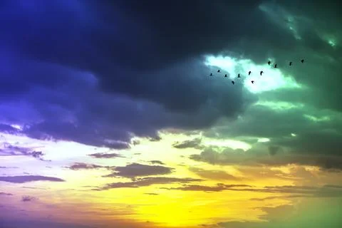 Dramatic Sky with Colorful Clouds and Birds at Sunset or Sunrise Stock Photos