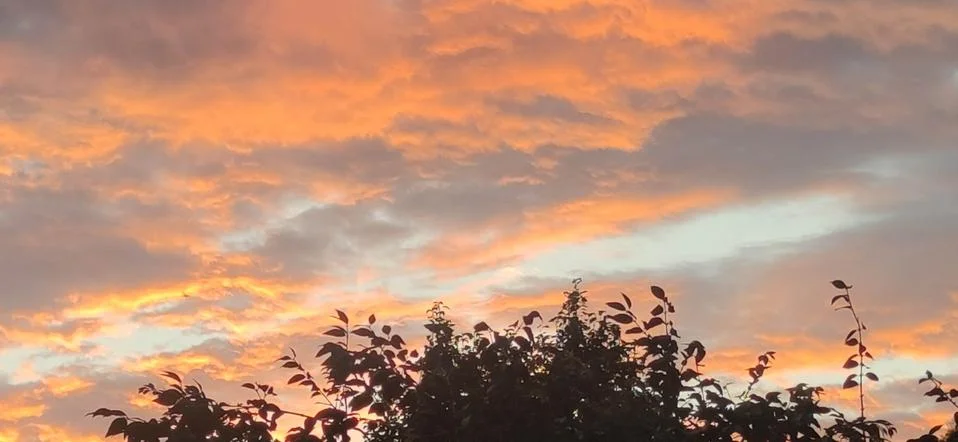 Dramatic sky in contrast to trees in the evening in southern Brazil Stock Photos