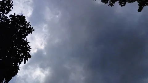 Dramatic Sky with Dark Clouds Framed by Silhouetted Tree Foliage Stock Footage 306123784