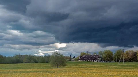 Dramatic sky with dark clouds over a field of yellow dandelions. Stock Photos