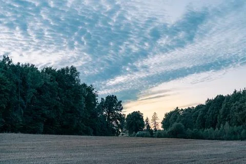 Dramatic sky at dusk above the field and forest Stock Photos