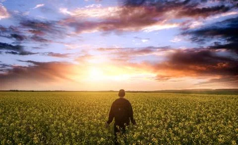 Dramatic sky in the fields Stock Photos