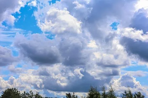 Dramatic sky with fluffy clouds and glimpses of bright blue sky above trees 写真素材