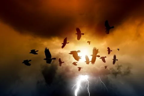 Dramatic sky Stock Illustration