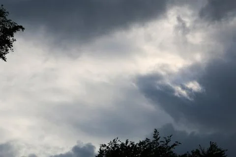 Dramatic sky just before the storm with few branches on the edge of the picture Foto stock