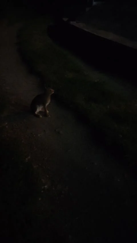 Dramatic sky over the city. Storm clouds move quickly during a storm Stock Footage 314152977