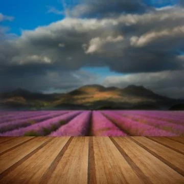 Dramatic sky over landscape of mountain range with lavender field in foregrou Stock Photos