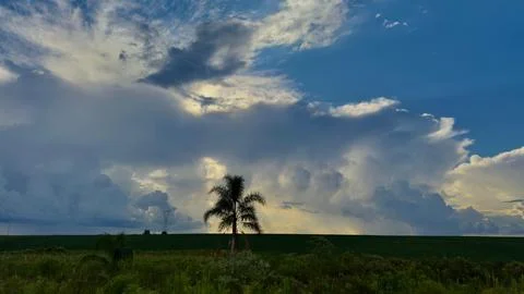 Dramatic sky over a lush green field Stock Photos