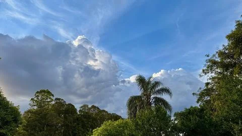 Dramatic sky over lush vegetation Stock Photos