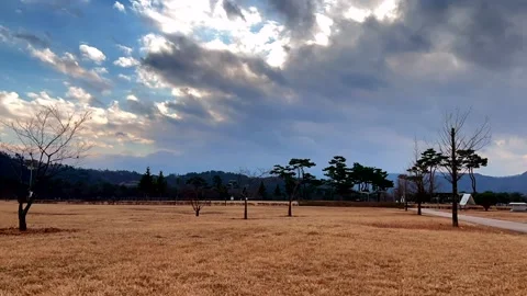 Dramatic sky over an open field as dark storm clouds contrast with golden dry Stock Footage 301524189