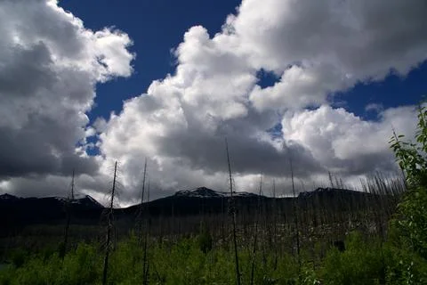 Dramatic Sky Over Snow-Capped Mountains and Regrowing Forest Landscape Stock Photos