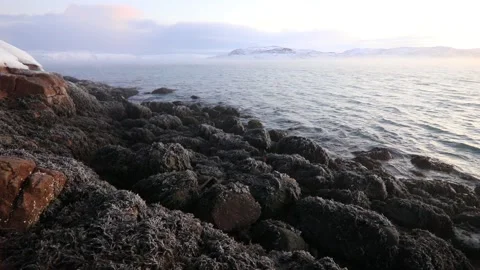 Dramatic sky over the stormy sea in the north. Vídeo Stock 85785002