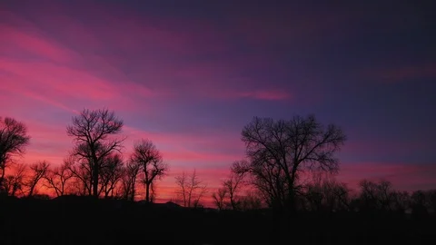 Dramatic sky over the trees during sunset 動画素材 91983046