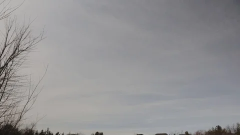 Dramatic Sky Over The White Snow With Bare Trees In Winter - Tilt Down Shot Stock Footage 129312688