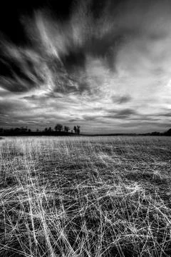 Dramatic Sky Over Windswept Prairie in Black and White Stock Photos