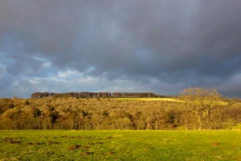Dramatic sky over woodlands Stock Photos