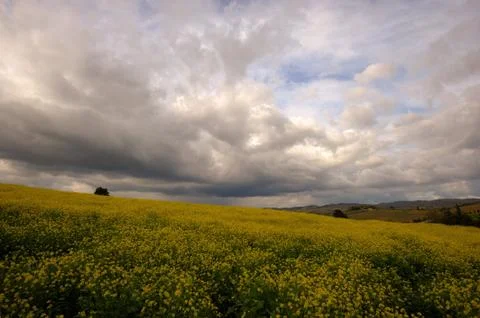 Dramatic sky 스톡 사진