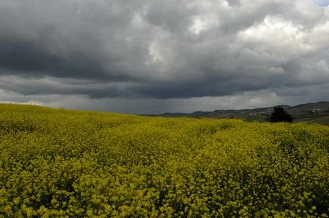 Dramatic sky 写真素材