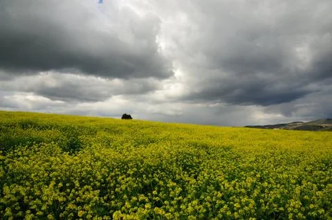 Dramatic sky Stock Photos