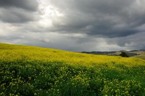 Dramatic sky 스톡 사진